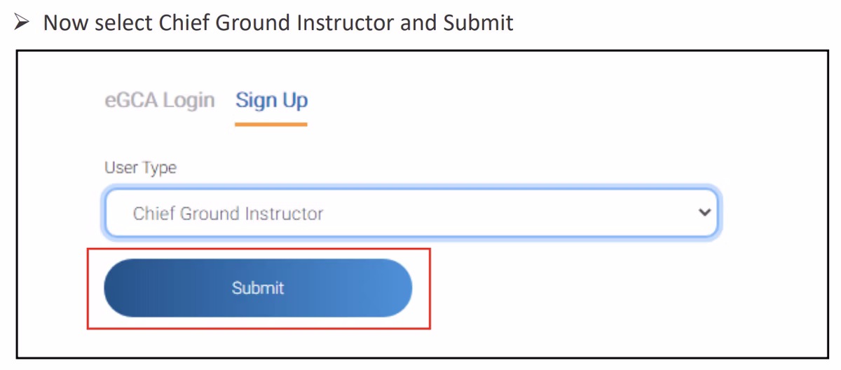 eGCA portal step screenshot