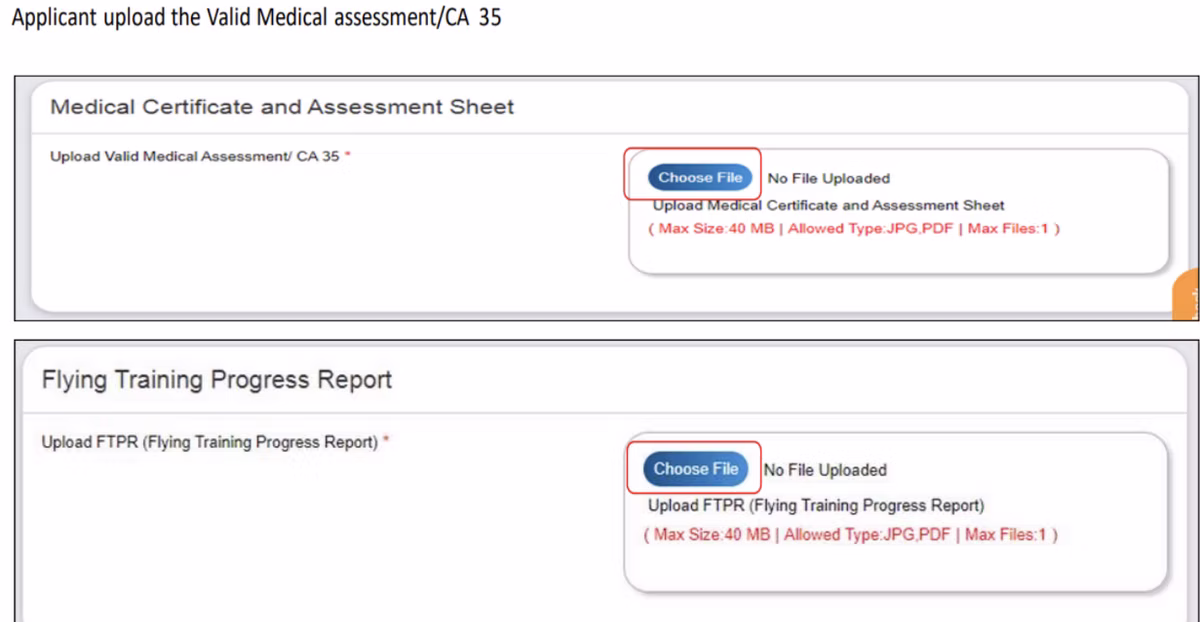 eGCA portal step screenshot