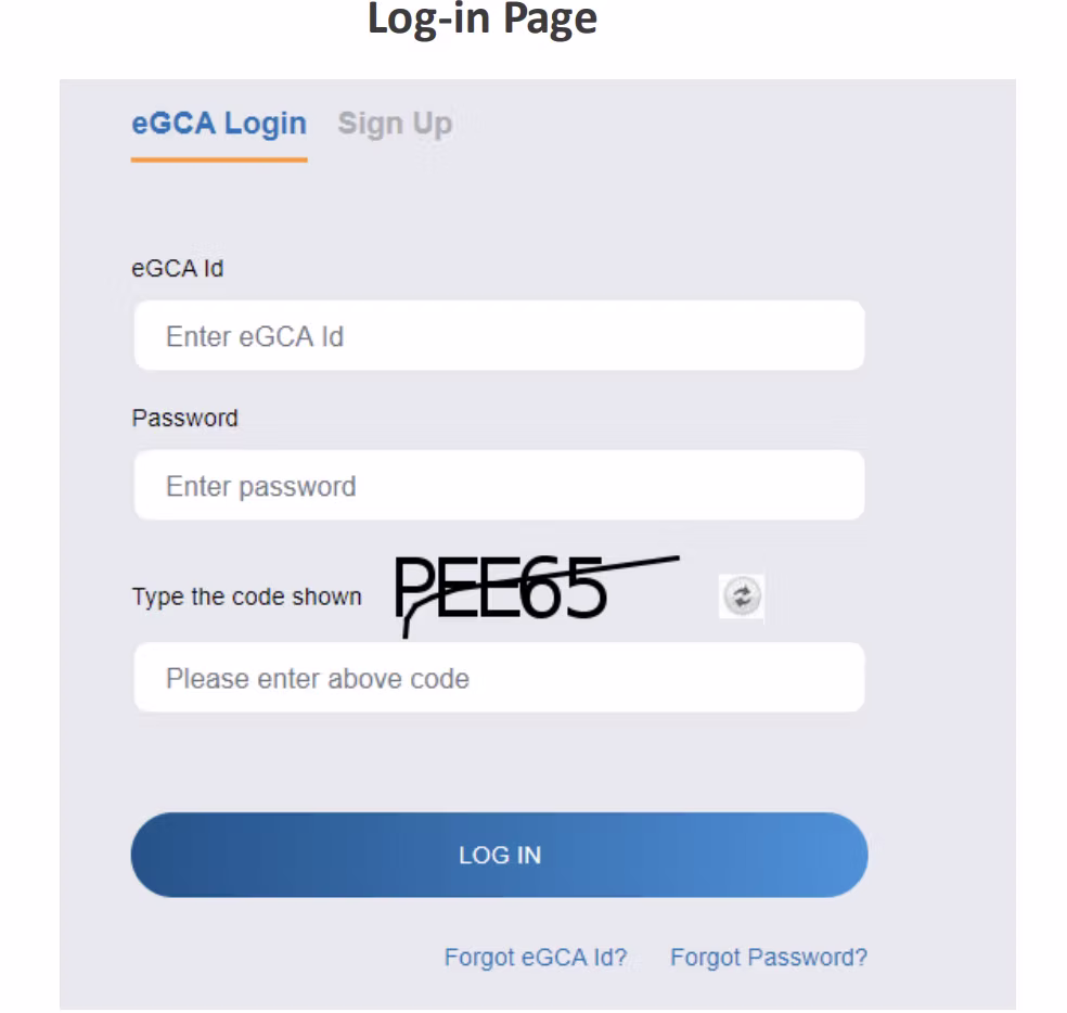 eGCA portal step screenshot