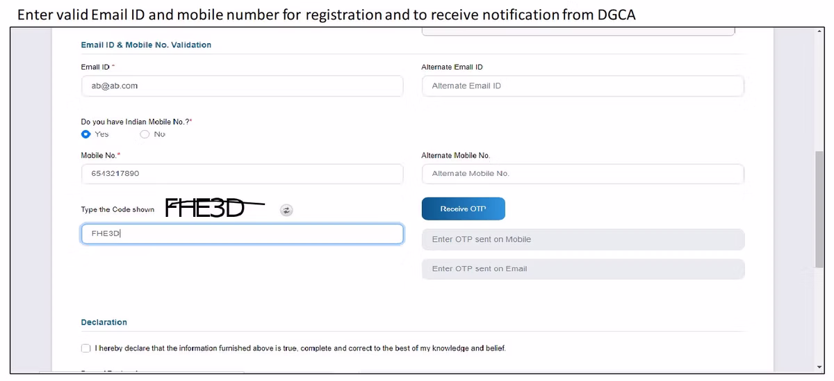 eGCA portal step screenshot