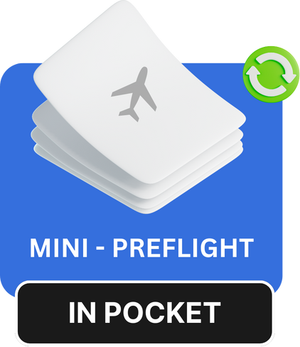 AirRoster mini preflight briefing screen with flight, crew, weather and training tabs